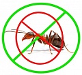 Средства от муравьев средства от моли, мух,мошек